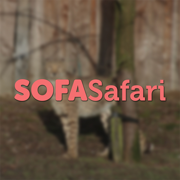 sofasafari-logo